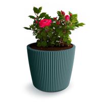 Prosperplast Plantenpot/bloempot Buckingham - kunststof - zeeblauw - D14 x H13 cm   - - thumbnail