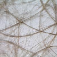 Vaessen Creative • sizoweb 5mx30cm in koker beige