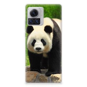 Motorola Moto X30 Pro TPU Hoesje Panda