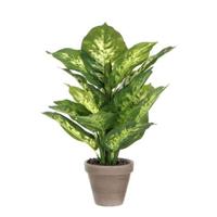 Mica Decorations Dieffenbachia Kunstplant - H40 x Ø30 cm - Groen