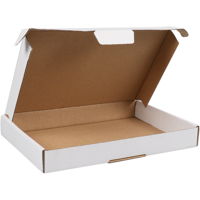 Brievenbusdoos A5 met klep 220x155x28mm wit per stuk