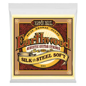 Ernie Ball Earthwood Silk and Steel Akoestisch 6 stuk(s) Gebronsd staal Gitaar