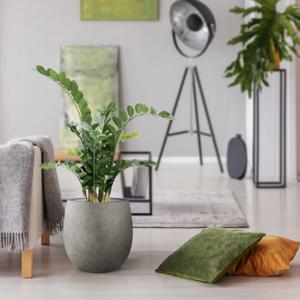 Zamioculcas kunstplant 100cm
