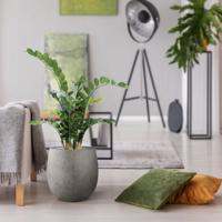 Zamioculcas kunstplant 100cm