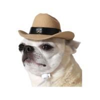 Kostuum voor honden Hoed Politie