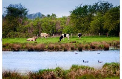 Tuindoek polder 210x140cm - Customize it