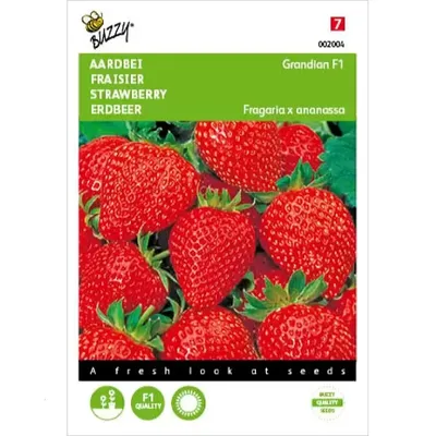 Aardbei Grandian F1