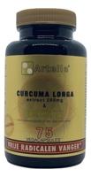 Artelle Curcuma longa extract Artelle Curcuma longa extract