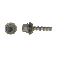 pgb-Europe PGB-FASTENERS | Zsk gevelschr. Type BZ stomp Ø 6,3x115 A2 | 100 st 0GSS16A00006301153