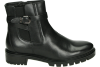 Ara 1229512 - alle