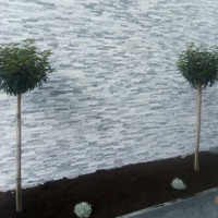 Wandtegel Steenstrip San Antonio 10x35 - Kwartsietsteen