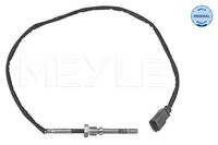 Sensor, uitlaatgastemperatuur 1148000251
