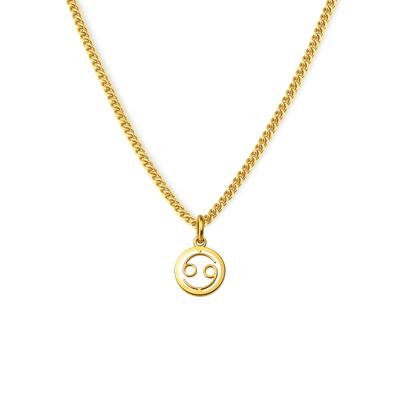 Minimalistische sterrenbeeld ketting - Stainless steel - Goud - Kreeft - Cancer