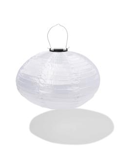 HEMA Solar Tuinlampion Rond (wit)