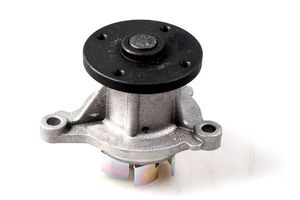 Waterpomp P7855