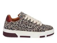 DWRS label Whitby Leopard 4568 bordeaux gr multi bruin maat 37
