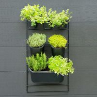 Nature wandtuin verticaal