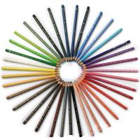 Kleurpotlood polychromos ism karin luttenberg 36st