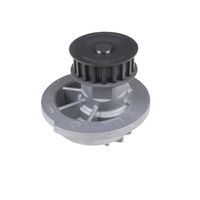 Waterpomp ADG09117