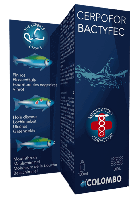 Cerpofor Bactyfec 100 Ml-500 Liter vijver - Superfish