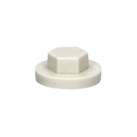 pgb-Europe PGB-FASTENERS | Afdekkap zeskant SW 3/8" (19mm) R9002 0AFD06N00001990025