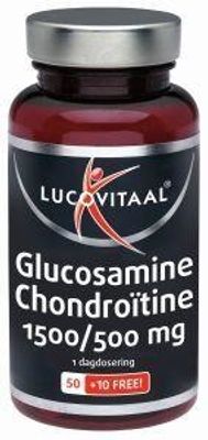 Glucosamine chondroitine