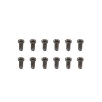 FTX Ibex Washer Head Screws 2X4MM (12PCS) (FTX7449)