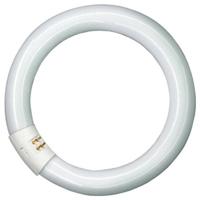 Signify Fluorescentielamp Energielabel: G (A - G) G10q 22.2 W Neutraalwit Ring (Ø x h) 27.1 mm x 21.8 cm 1 stuk(s)