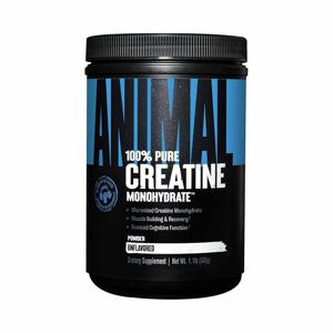 Creatine Powder 500gr