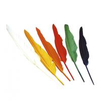 Indianen veren - 12x stuks - gekleurd - 25-30 cm - indianenveren - hobby