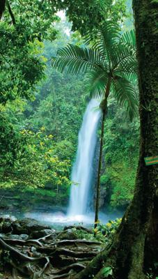 Doorkijk waterval 70x130cm Tuinschilderij - Customize it