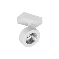 BC0031 LED-opbouwspot 1x10W 2700K Dimbaar Wit