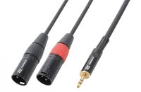 PD Connex kabel 2x XLR Male - 3.5mm Stereo 1.5m - thumbnail
