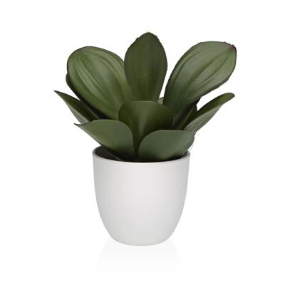 Decoratieve plant Versa Ijzer Textiel Plastic 25 x 23 cm
