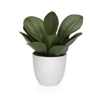 Decoratieve plant Versa Ijzer Textiel Plastic 25 x 23 cm
