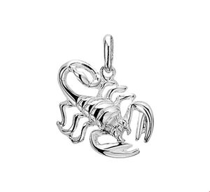 Hanger Sterrenbeeld zilver