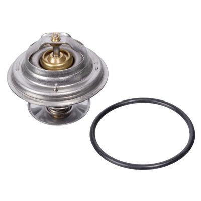 Thermostaat 09671