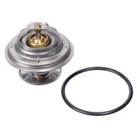 Thermostaat 09671