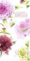 Marjolein Bastin Adresboek Marjolein Bastin Adresboek