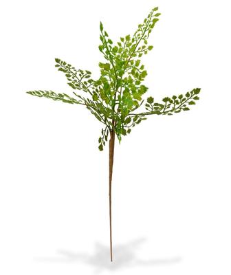 Adiantum kunsttak PL 50 cm