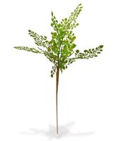 Adiantum kunsttak PL 50 cm