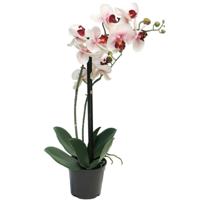 Orchidee bloemen kunstplant Bora - bloemen/bloemetjes - roze - H50 cm - Phalaenopsis