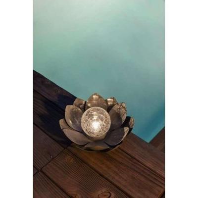 GALIX Zonnewaterlelie - 25 cm