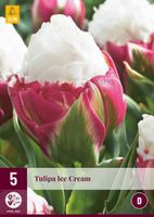 Tulp Ice Cream 5 bollen