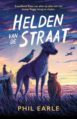 Helden van de straat (Hardback)