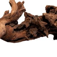 Mangrove aged wood small - Aquadistri