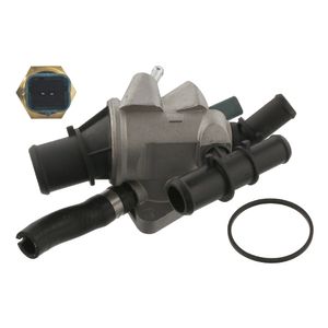 Thermostaathuis 36980