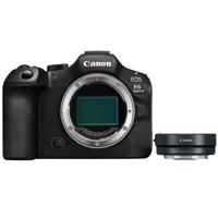 Canon EOS R6 Mark III + EF - RF Mount Adapter