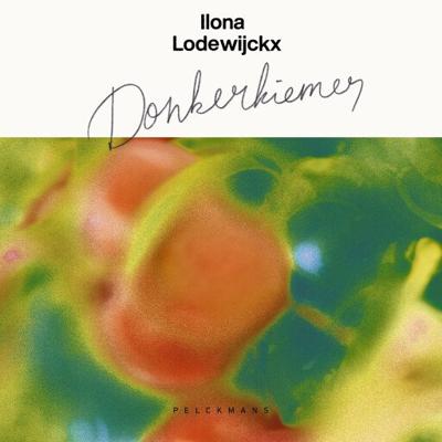Donkerkiemer