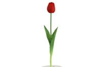 Decostar Tulp 45 cm rood